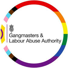 whatsapp image 2025 07 31 at 15.07.07 (6)